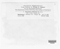 Image Associated With the Occurence